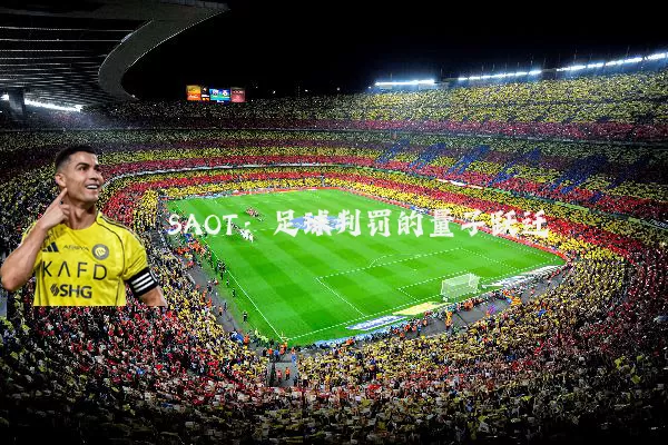 SAOT：足球判罚的量子跃迁
